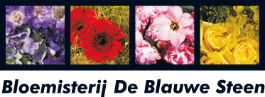 Bloemisterij De Blauwe Steen Wijchen, Zetten